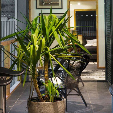 Val D'Argent Equestrian Centre - Dalby Accommodation 2