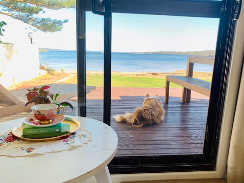Vandy's Shack At Mount Dutton Bay - Ideal For Couples And Small Families - Dalby Accommodation 3