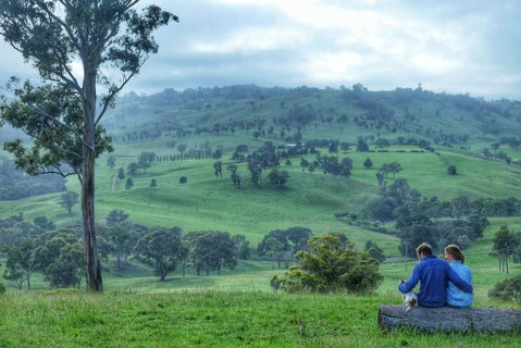 Waterfall Way Farmstay - Dalby Accommodation 2
