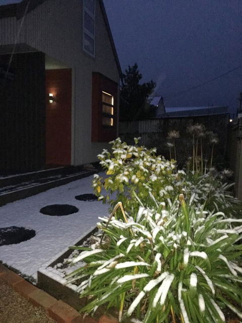 Daydream Cottage - Dalby Accommodation 17