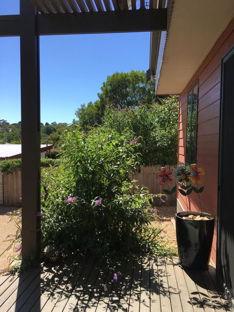 Daydream Cottage - Dalby Accommodation 10