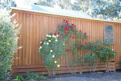 Bluegum Ridge Cottages - Dalby Accommodation 23