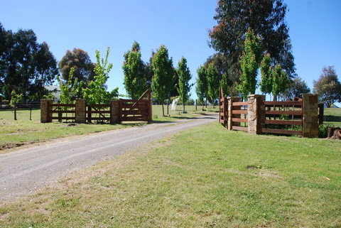 Bluegum Ridge Cottages - Dalby Accommodation 2