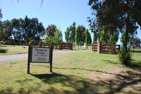 Bluegum Ridge Cottages - Dalby Accommodation 1