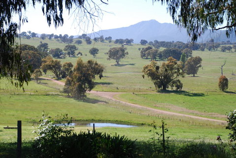 Bluegum Ridge Cottages - Dalby Accommodation 31