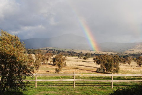 Bluegum Ridge Cottages - Dalby Accommodation 32