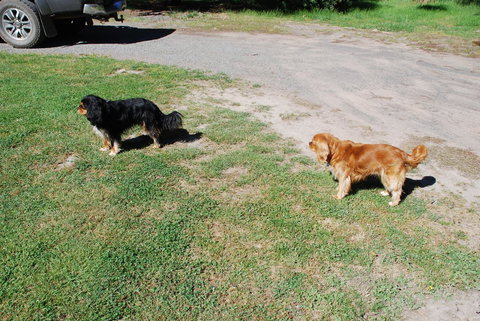 Bluegum Ridge Cottages - Dalby Accommodation 6