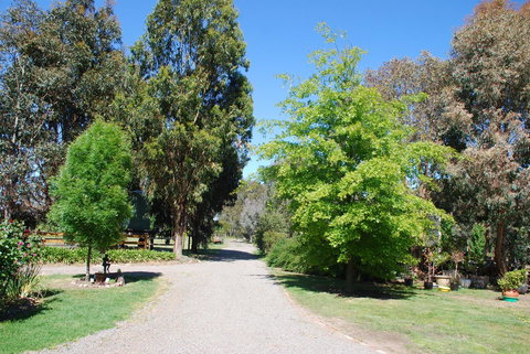 Bluegum Ridge Cottages - Dalby Accommodation 5