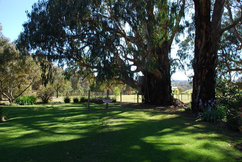 Bluegum Ridge Cottages - Dalby Accommodation 29