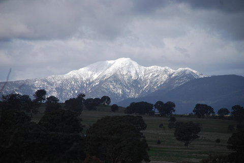 Bluegum Ridge Cottages - Dalby Accommodation 35