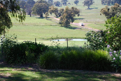 Bluegum Ridge Cottages - Dalby Accommodation 30