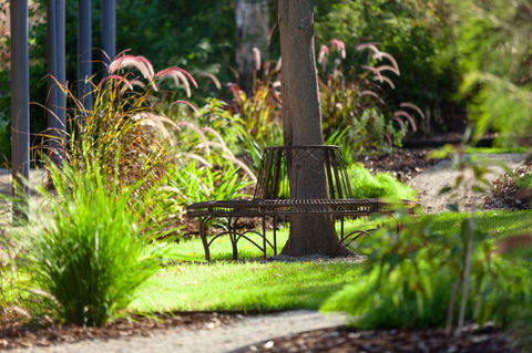 Blazing Stump Motel & Suites - Dalby Accommodation 35