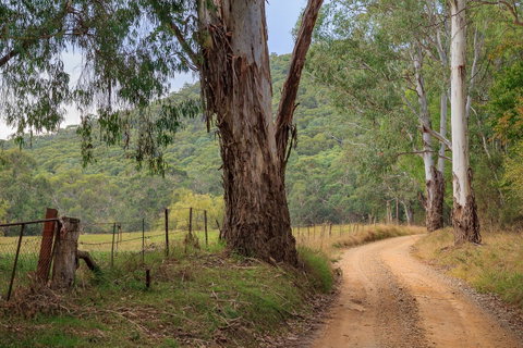 Alpine Aspects - Dalby Accommodation 10