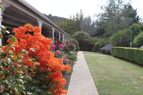 Alpine Aspects - Dalby Accommodation 34