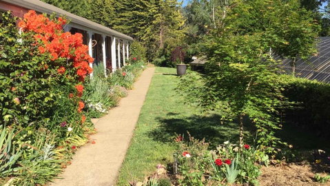 Alpine Aspects - Dalby Accommodation 4