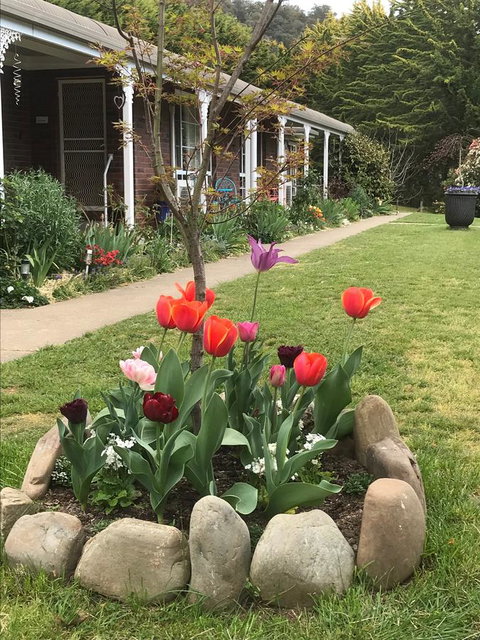 Alpine Aspects - Dalby Accommodation 7