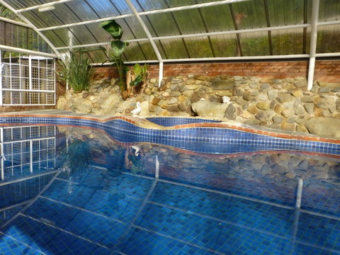 Alpine Aspects - Dalby Accommodation 39
