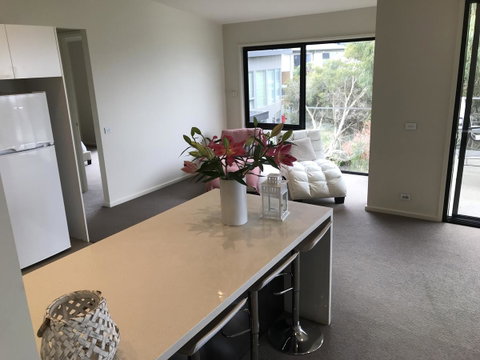 Lorne Sea View Terrace House - Dalby Accommodation 43
