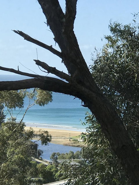 Lorne Sea View Terrace House - Dalby Accommodation 12