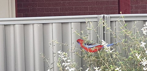 Torquay Timeout - Dalby Accommodation 14