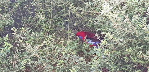 Torquay Timeout - Dalby Accommodation 16