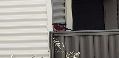 Torquay Timeout - Dalby Accommodation 15