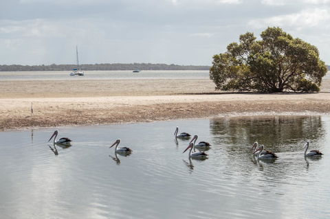 BIG4 Breeze Holiday Parks - Rainbow Beach - Dalby Accommodation 32