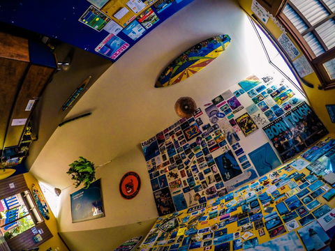Cool Bananas Backpackers - Dalby Accommodation 29
