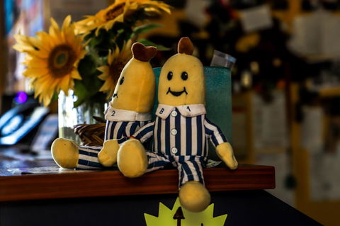 Cool Bananas Backpackers - Dalby Accommodation 30