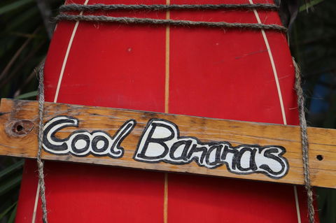 Cool Bananas Backpackers - Dalby Accommodation 41