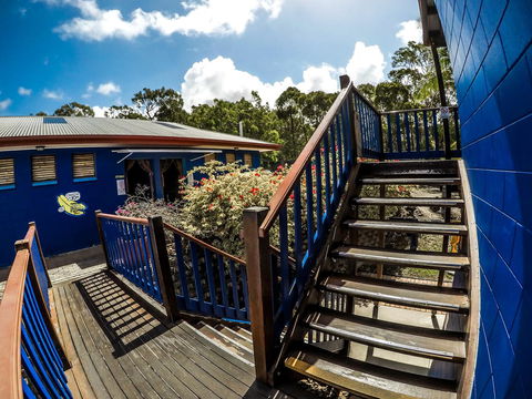 Cool Bananas Backpackers - Dalby Accommodation 27