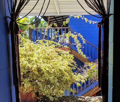 Cool Bananas Backpackers - Dalby Accommodation 10