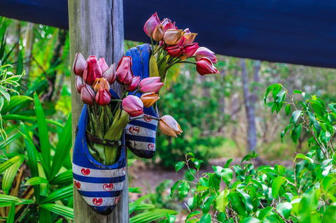 Cool Bananas Backpackers - Dalby Accommodation 26