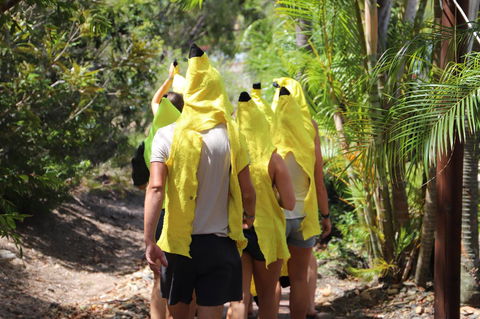 Cool Bananas Backpackers - Dalby Accommodation 19