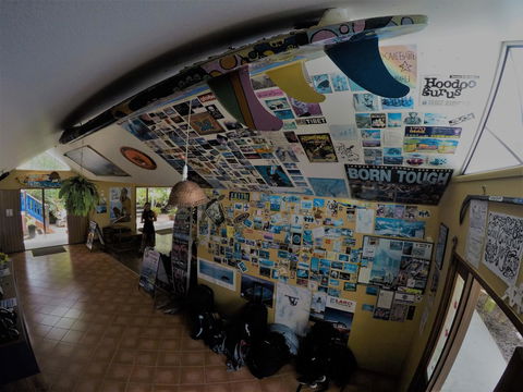 Cool Bananas Backpackers - Dalby Accommodation 31