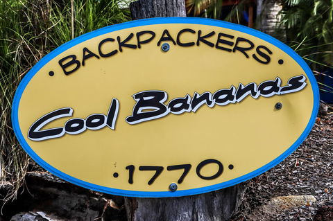 Cool Bananas Backpackers - Dalby Accommodation 38