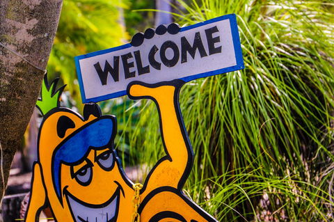 Cool Bananas Backpackers - Dalby Accommodation 37