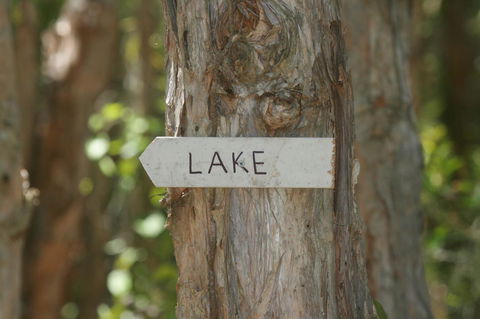 Lake Weyba Noosa Lodge & Kangaroos - Dalby Accommodation 36