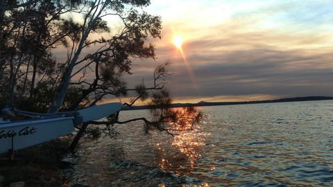 Lake Weyba Noosa Lodge & Kangaroos - Dalby Accommodation 40