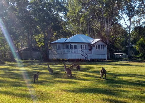 Lake Weyba Noosa Lodge & Kangaroos - Dalby Accommodation 0