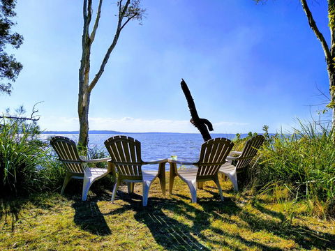 Lake Weyba Noosa Lodge & Kangaroos - Dalby Accommodation 44