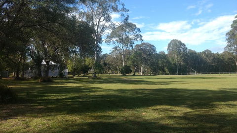 Lake Weyba Noosa Lodge & Kangaroos - Dalby Accommodation 23