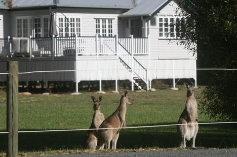 Lake Weyba Noosa Lodge & Kangaroos - Dalby Accommodation 28