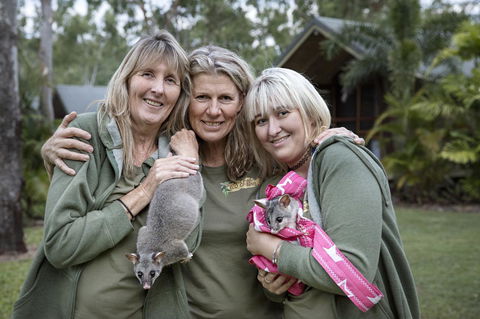 Airlie Beach Eco Cabins - Adults Only - Dalby Accommodation 23