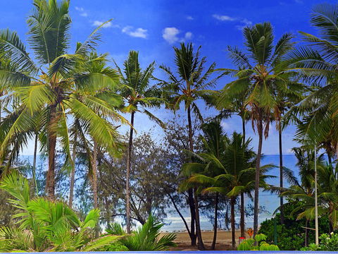 By The Sea Port Douglas - Dalby Accommodation 3