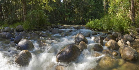Silky Oaks Lodge - Dalby Accommodation 20