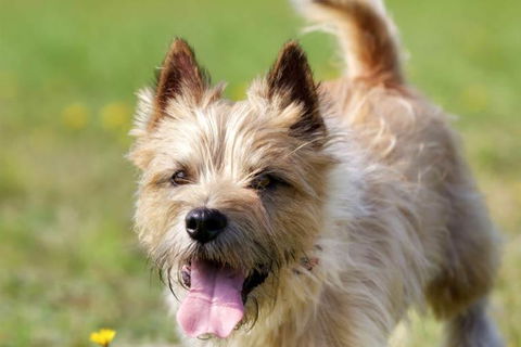 Sunrise Haven - Dalby Accommodation 1