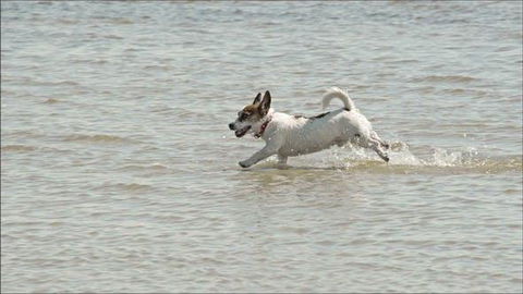 Sunrise Haven - Dalby Accommodation 8