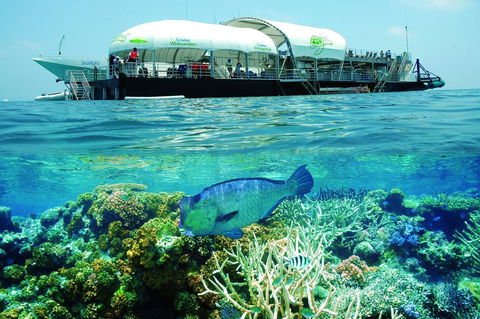 The Sebel Whitsundays - Dalby Accommodation 9