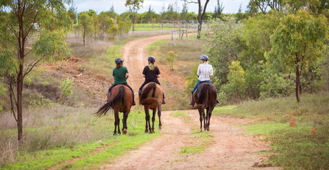 Ironbark House - Dalby Accommodation 22